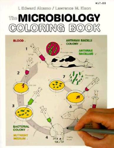 The Microbiology Coloring Book – Paperback By I. Edward Alcamo – GOOD