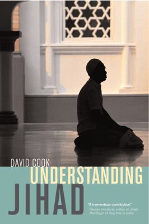 Understanding Jihad Paperback David Fuller Cook