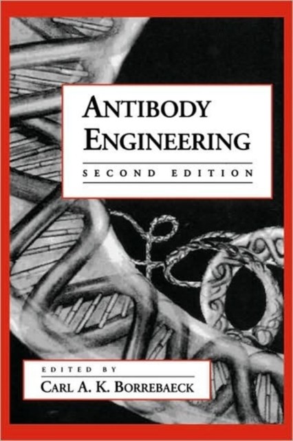 Borrebaeck – Antibody Engineering – New paperback or softback – 18 – X555z