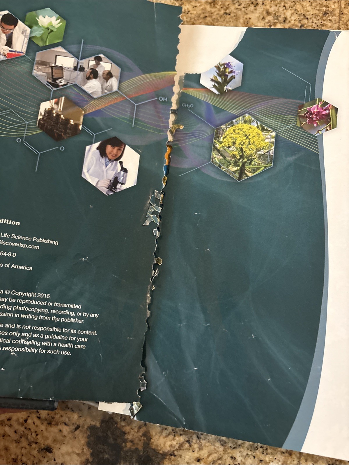 Essential Oils Desk Reference 7th Edition Spiral Life Science Pub