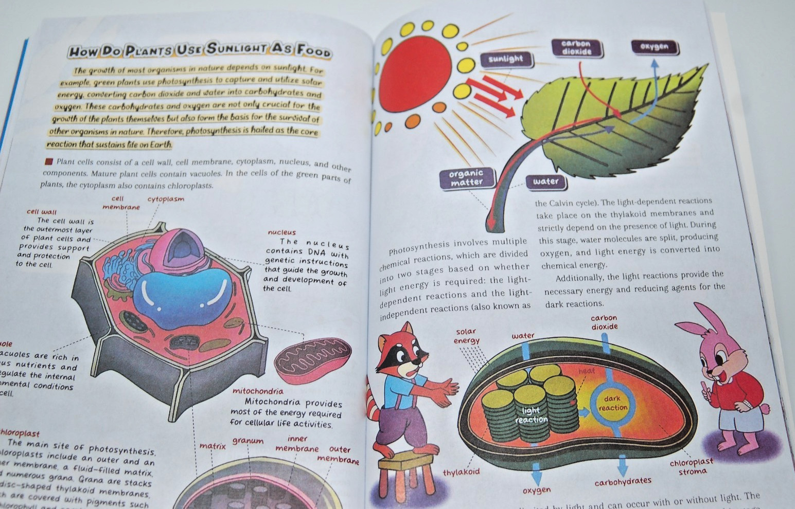 Comic Format Physics & Chemistry – Weird & Wacky Research Institute Doris Walton