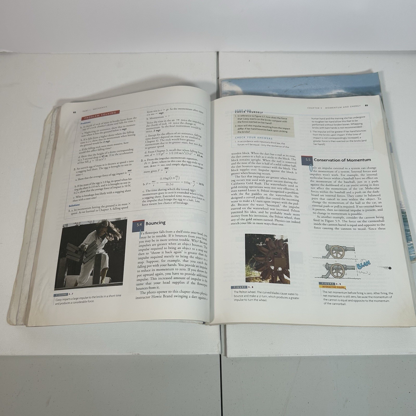 Conceptual Physics Fundamentals Paul G. Hewitt and lab manual Bill wright