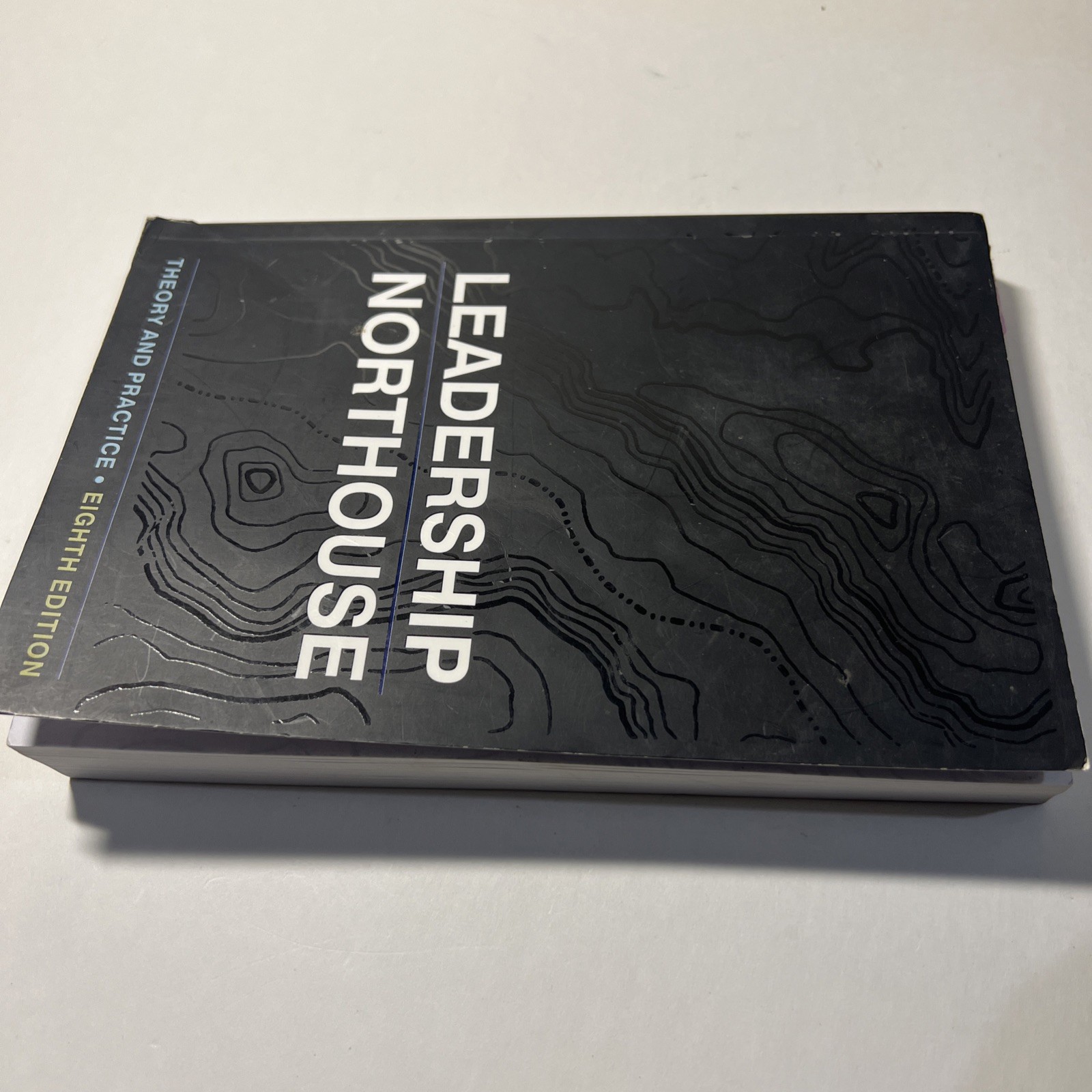 Leadership : Theory and Practice by Peter G. Northouse (2018, Paperback) VG