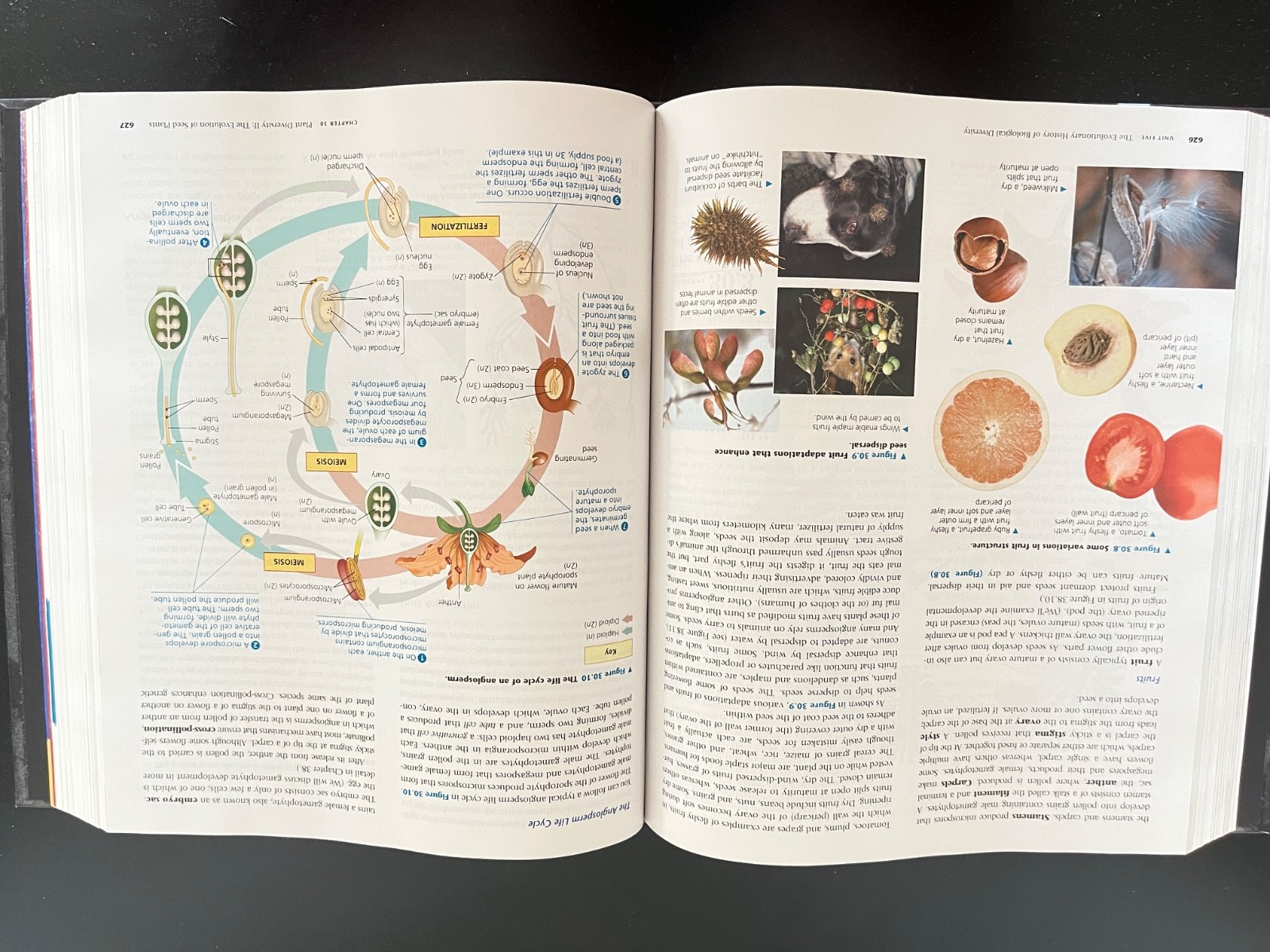 Campbell Biology 9th edition(Author: Urry, Cain, Wasserman, Minorsky, Jackson)