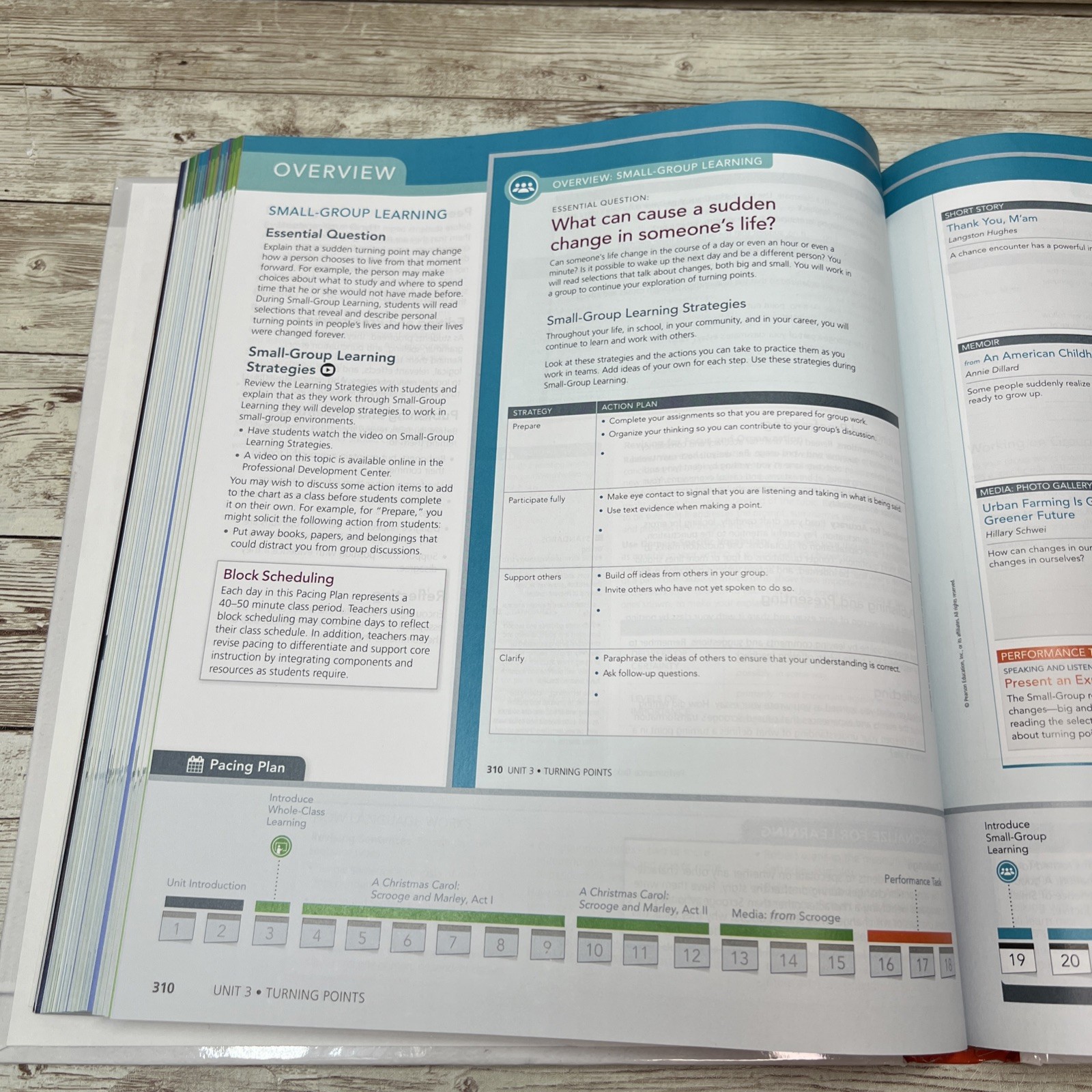 my Perspective, English Language Arts Teacher’s Edition – 7th Grade – Homeschool