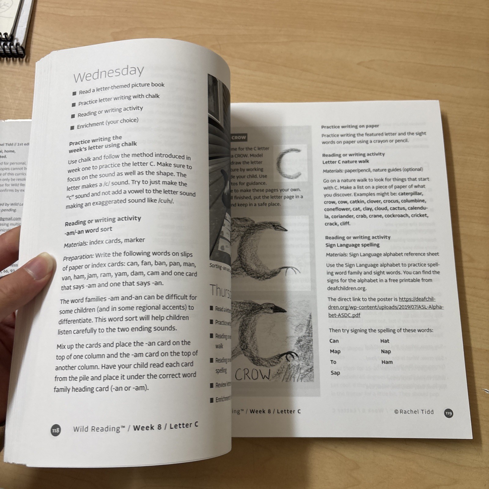 Wild Reading Curriculum Level One Rachel Tidd Wild Learning NO WRITING Spiral
