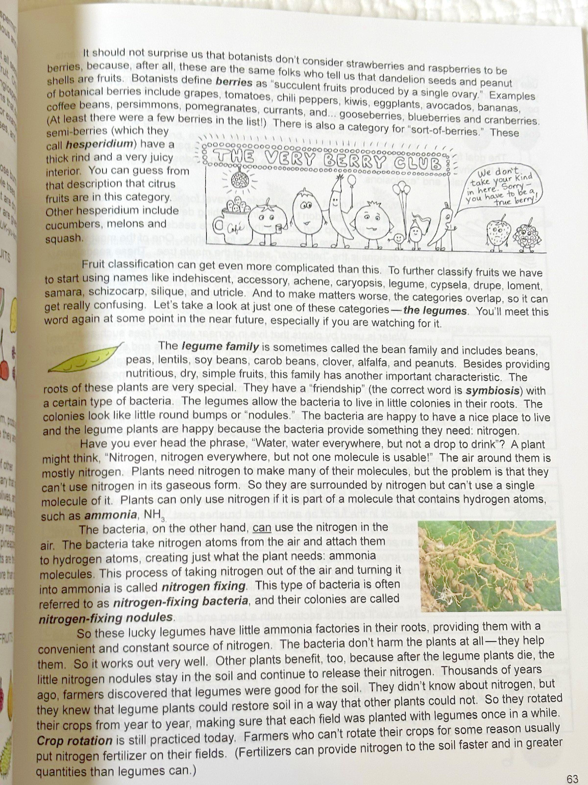 Botany in 8 Lessons; Student Text by Ellen Johnston McHenry (English) Paperback