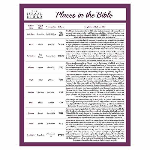 Places in the Bible Laminated Sheet – The Israel – Office Product – Very Good
