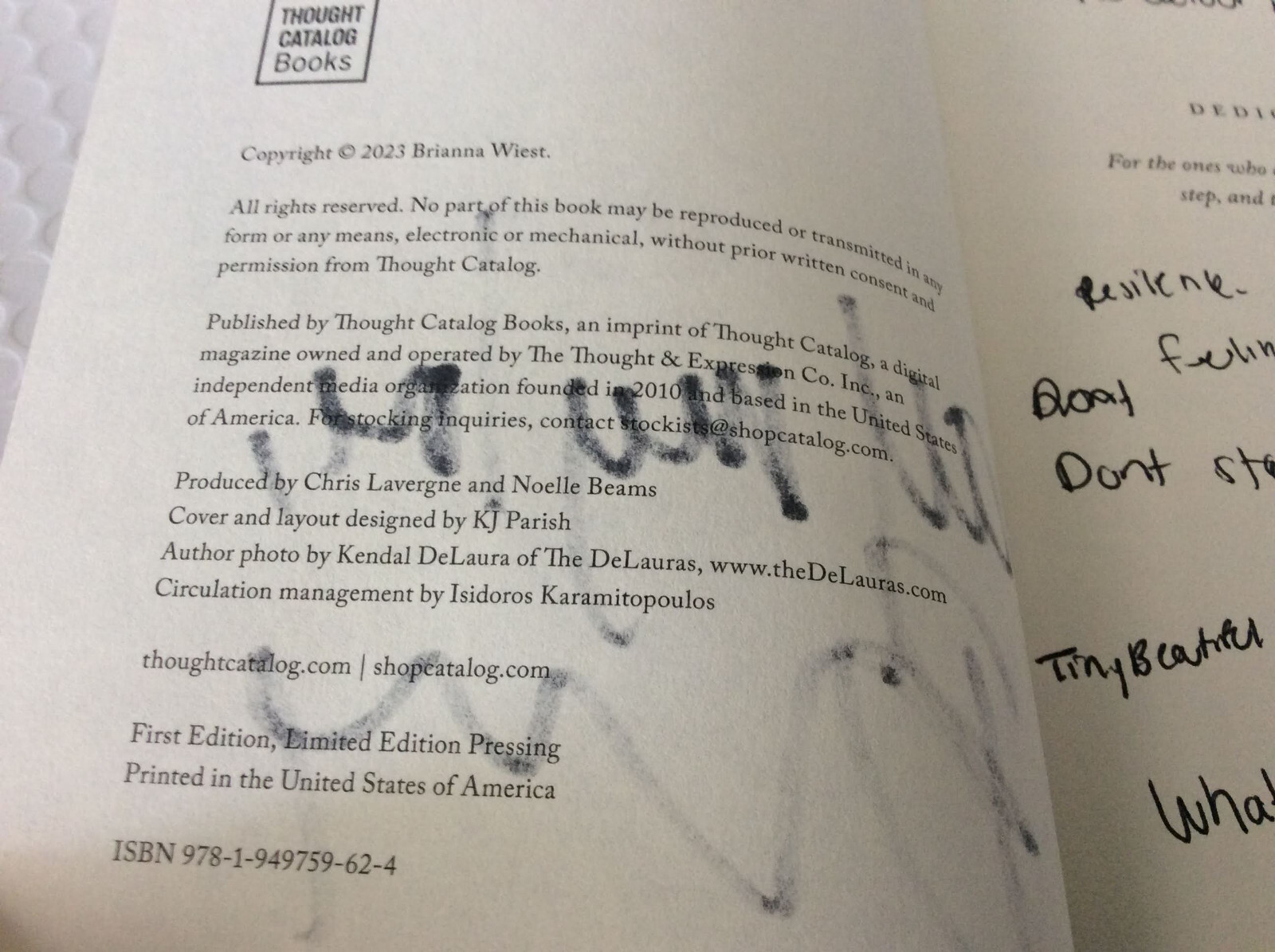 The Pivot Year: 365 Days Become the…by Brianna Wiest (2023, Paperback) SIGNED