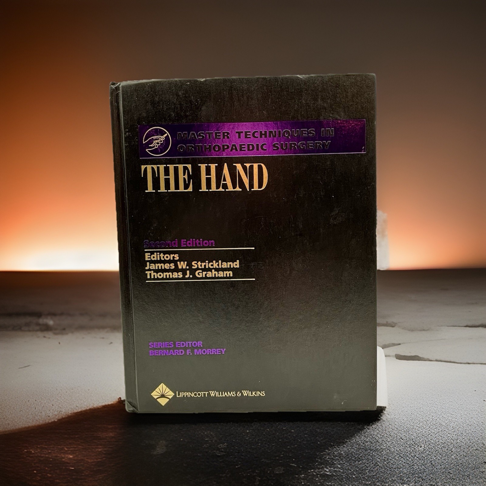 Master Techniques In Orthopaedic Surgery: The Hand by James W. Stickland