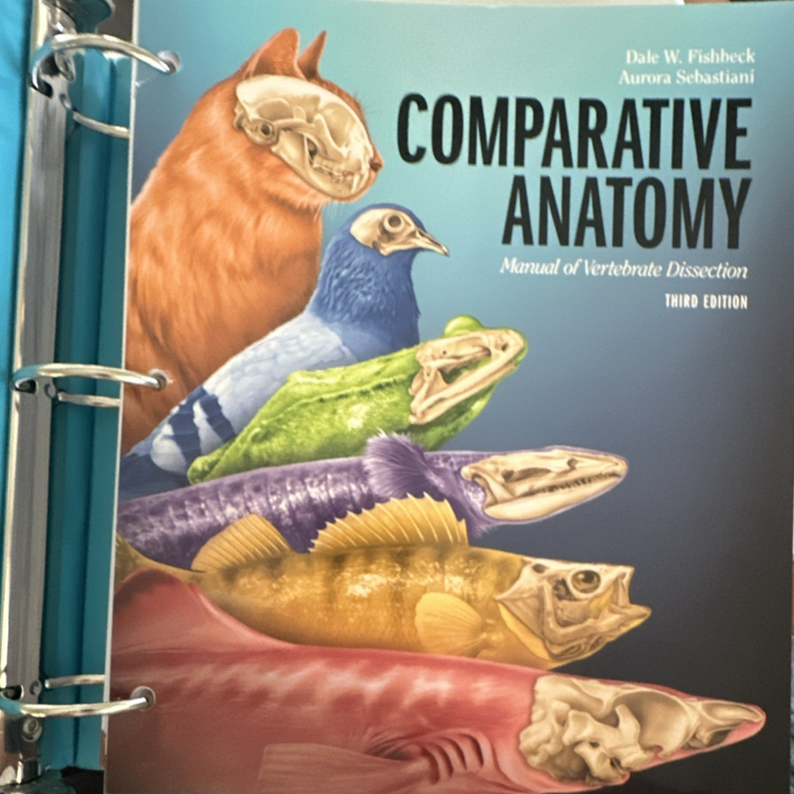 Comparative Anatomy Vertebrate Dissection 3rd Ed. Ringbound, Fishbeck Sebastiani