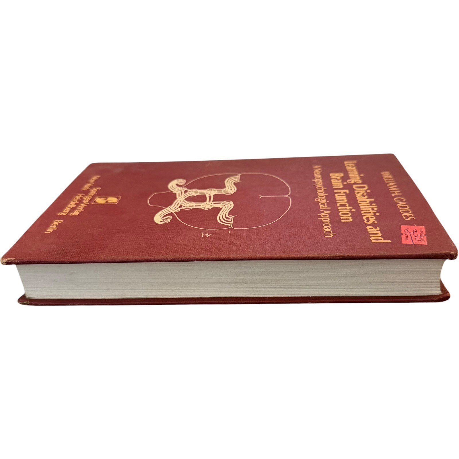 Springer Learning Disabilities and Brain Function Gaddes Hardcover 1980 Vintage