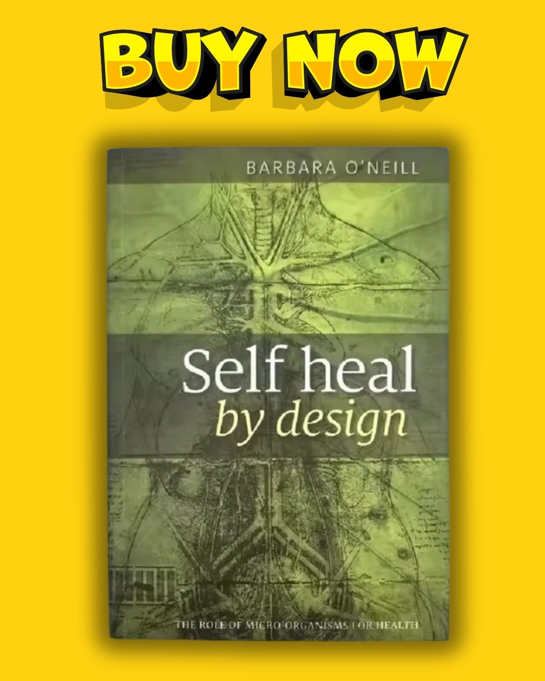 Self Heal by Design Barbara O’Neill (Paperback) Natural Healing Health Book