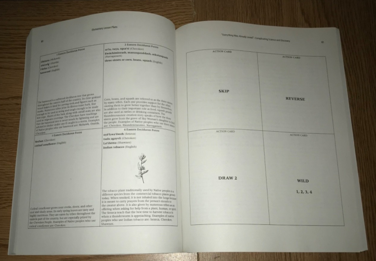 TEACHING CRITICALLY ABOUT LEWIS & CLARK BOOK CHALLENGING DOMINANT NARRATIVE K-12
