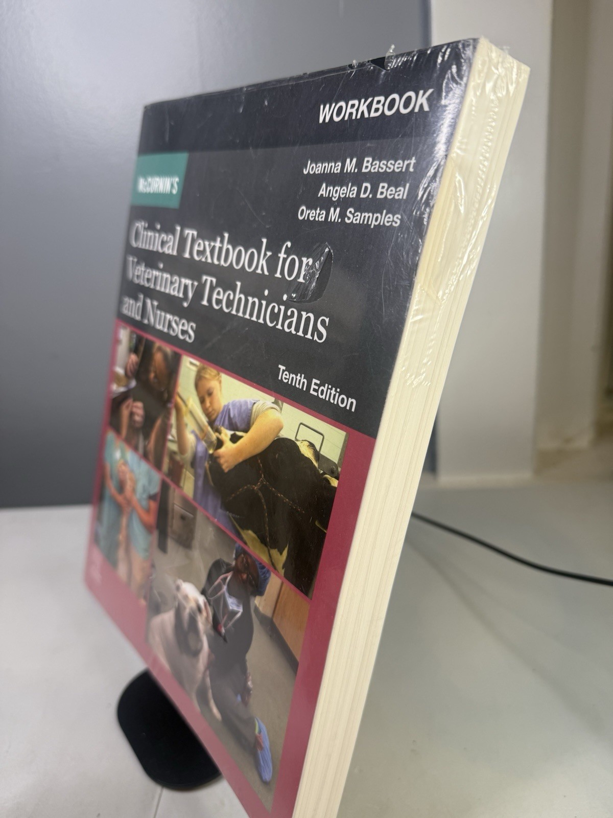 McCurnin’s Clinical Textbook for Veterinary Technicians and Nurses 10th Workbook