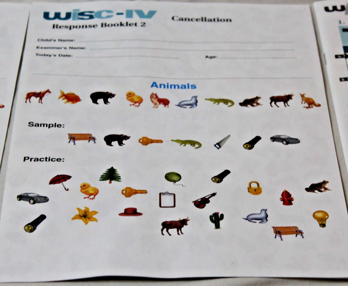 WISC-IV Wechsler Intelligence Scale for Children Fourth Edition Psychologist