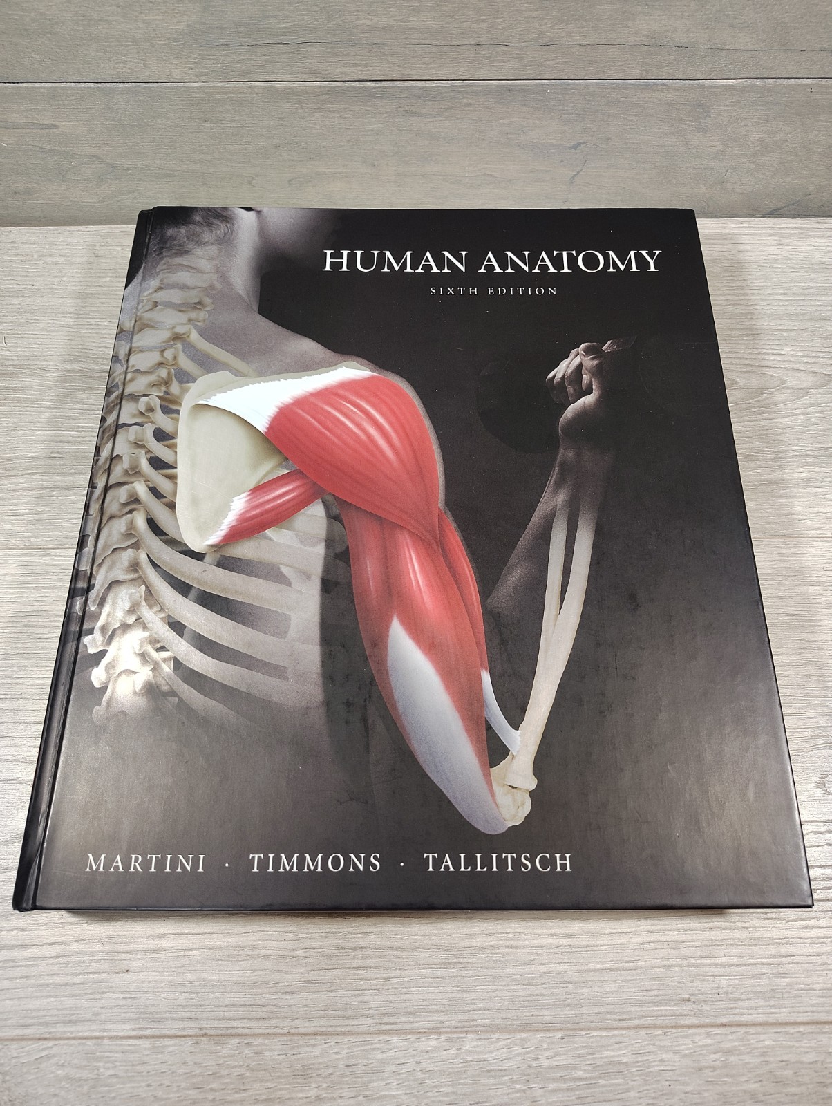Human Anatomy (6th Edition) – Hardcover By Martini, Frederic H.