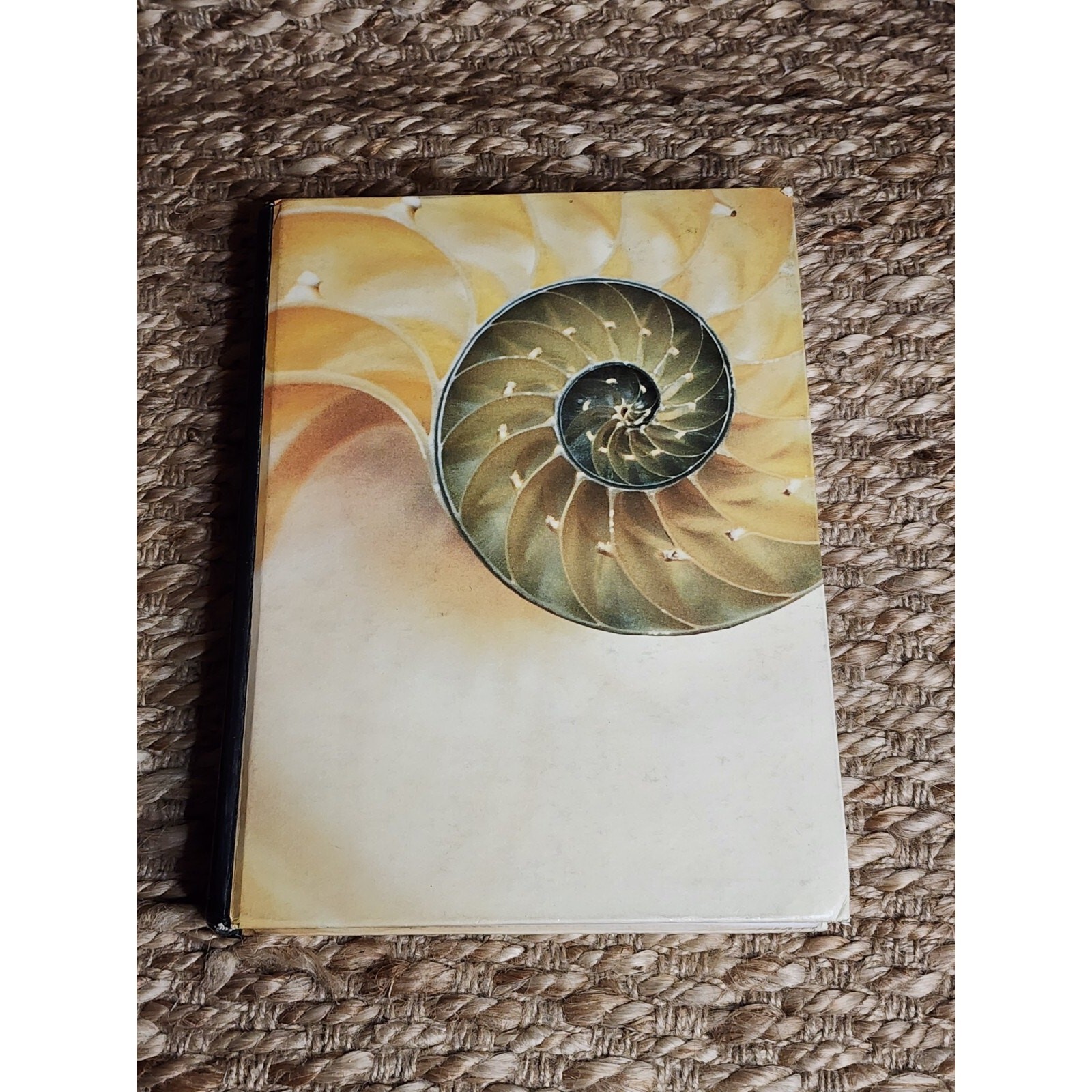 Vintage 1986 College Text Book The world Of Biology 3rd Edition Davis & Solomon