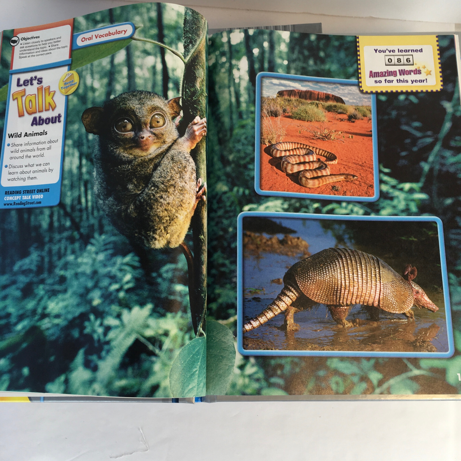 Phonics-Based READING STREET Grade 1 Book Set 1-5 Pearson Home School – Foresman