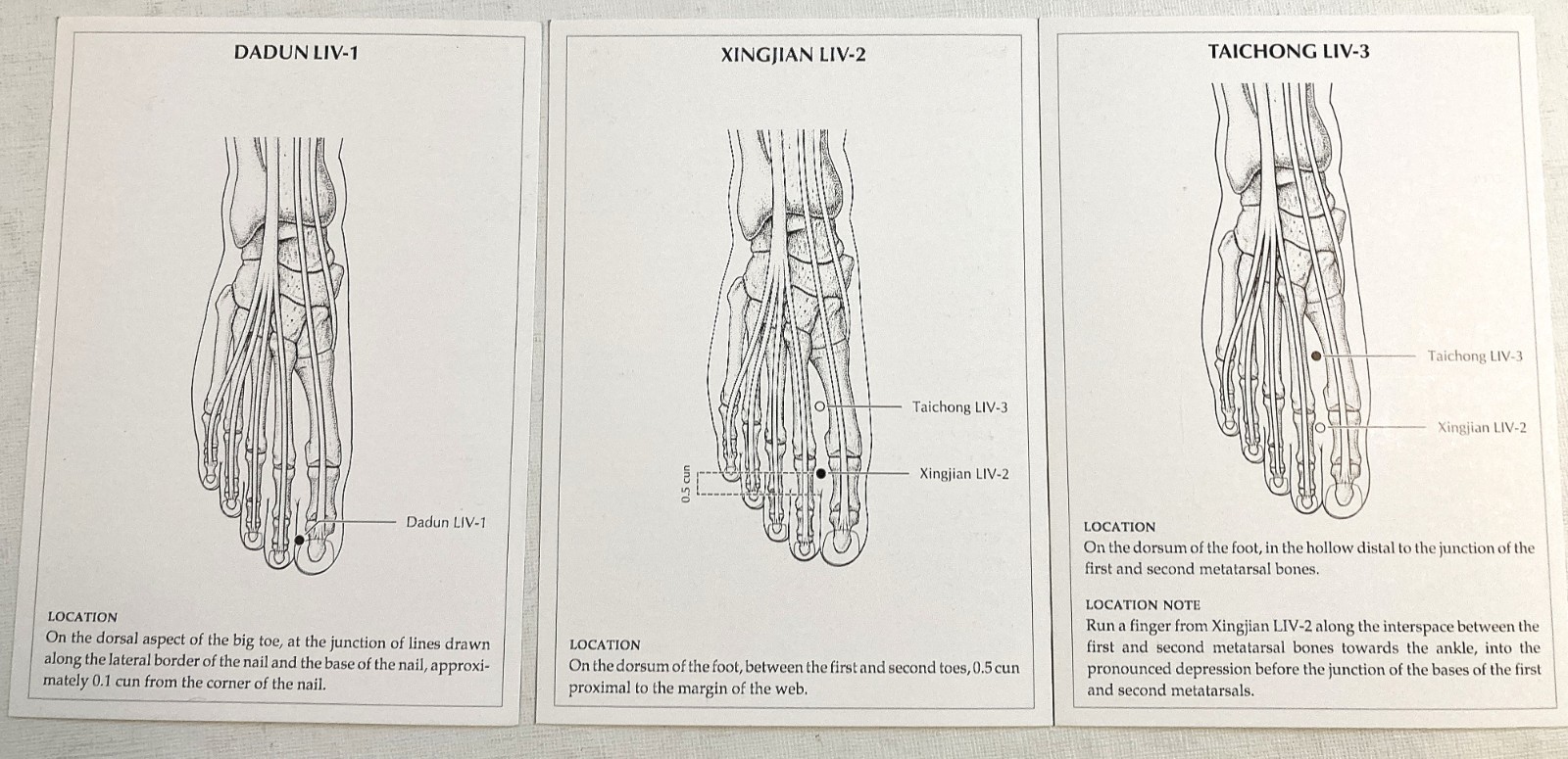 Flashcards Box Set for “A Manual of Acupuncture” Mazin Al-Khafaji Peter Deadman