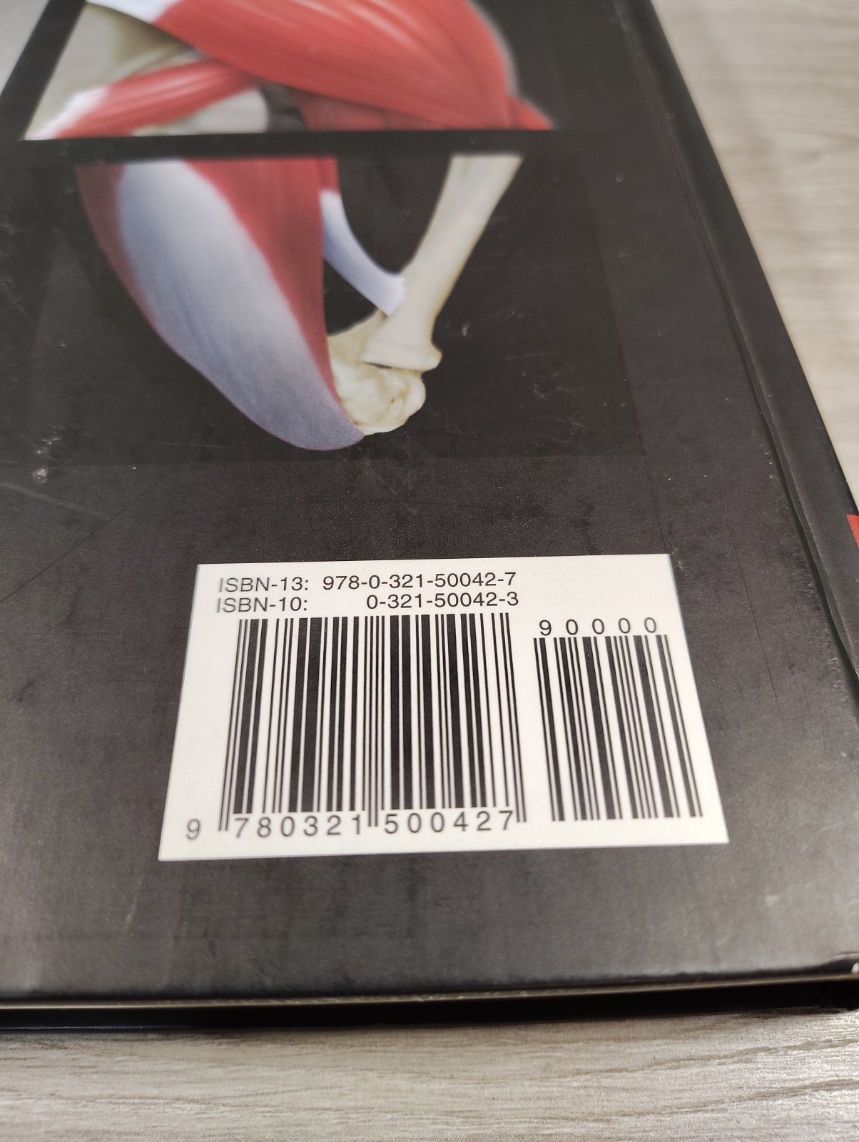 Human Anatomy (6th Edition) – Hardcover By Martini, Frederic H.