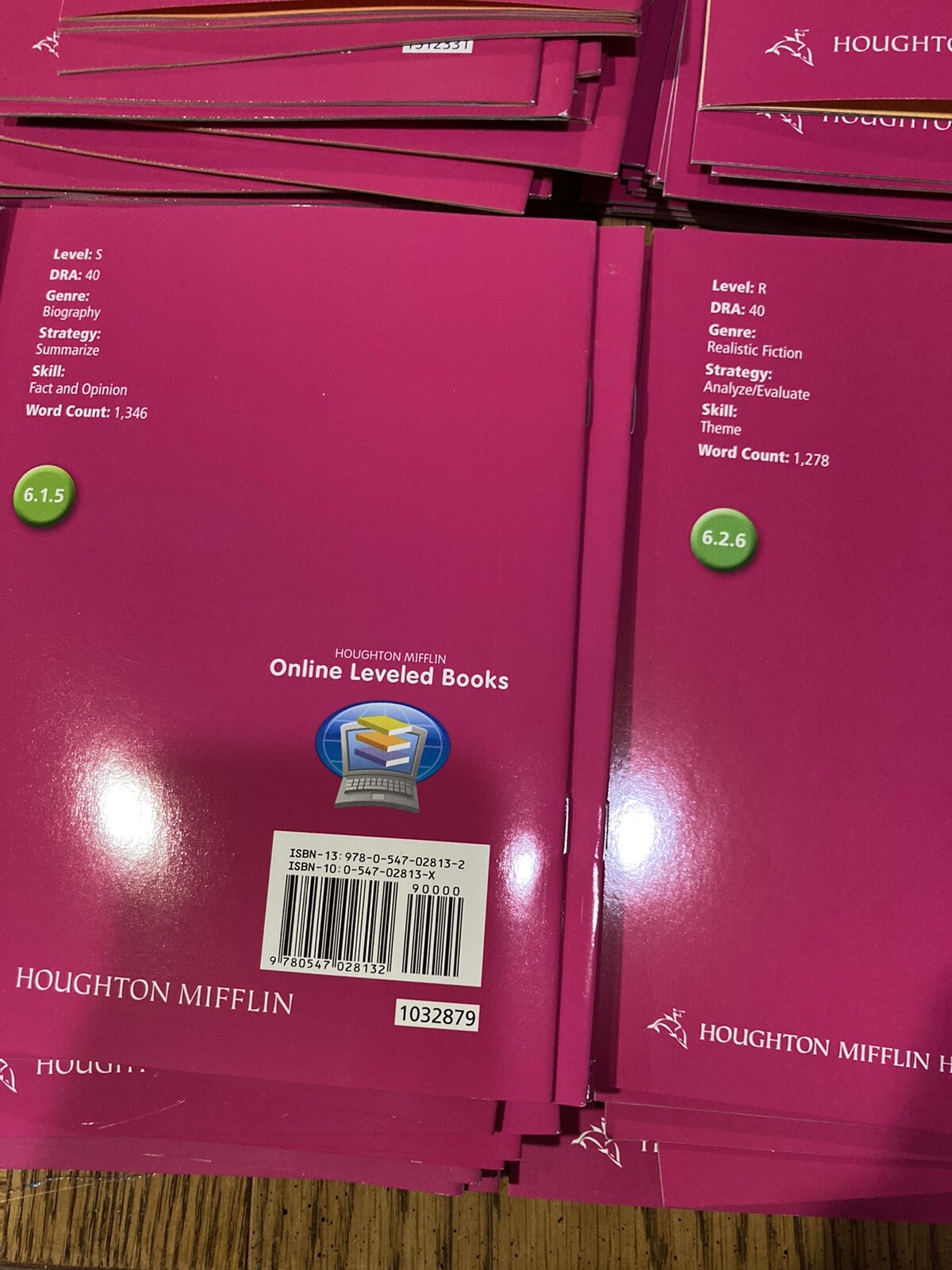 Journeys Houghton Mifflin Leveled Readers Grade 6 Below Level 🟢 25 Book Set