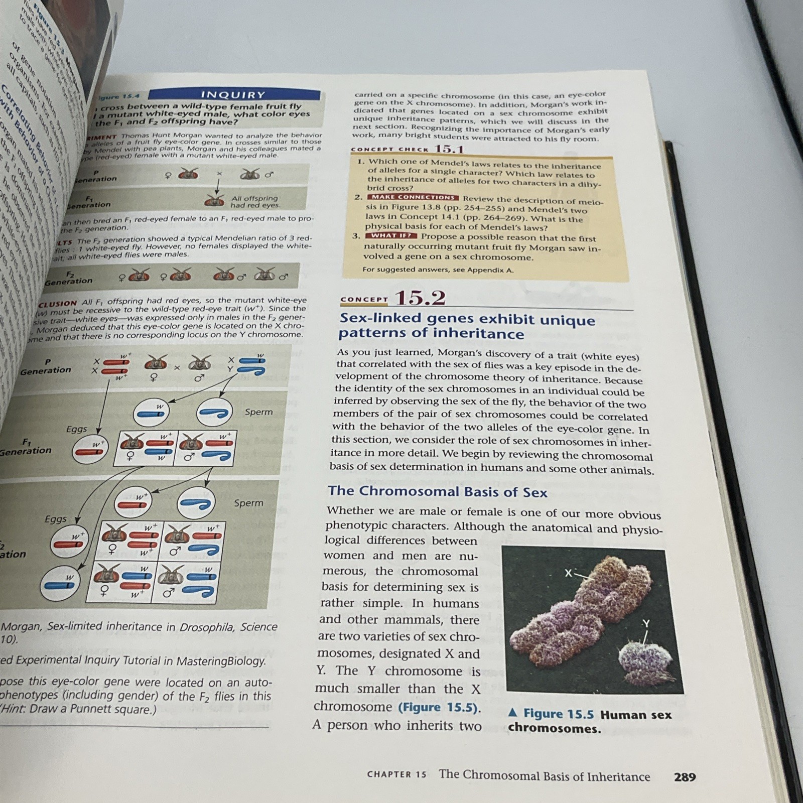 Campbell Biology (ninth Edition) – Hardcover, by Reece, Urry, Cain, 2011 Pearson