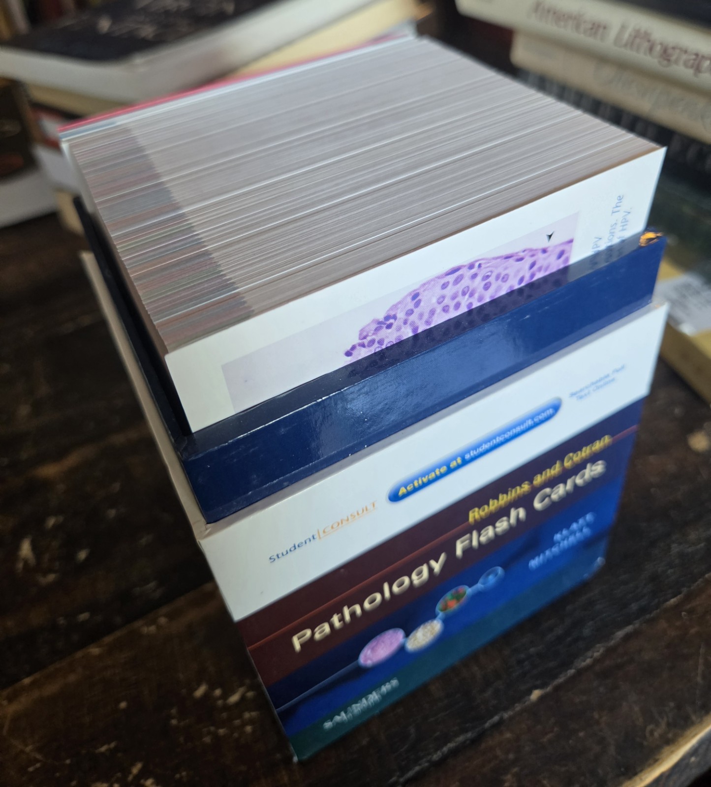 Robbins and Cotran Pathology Flash Cards Boxed Set