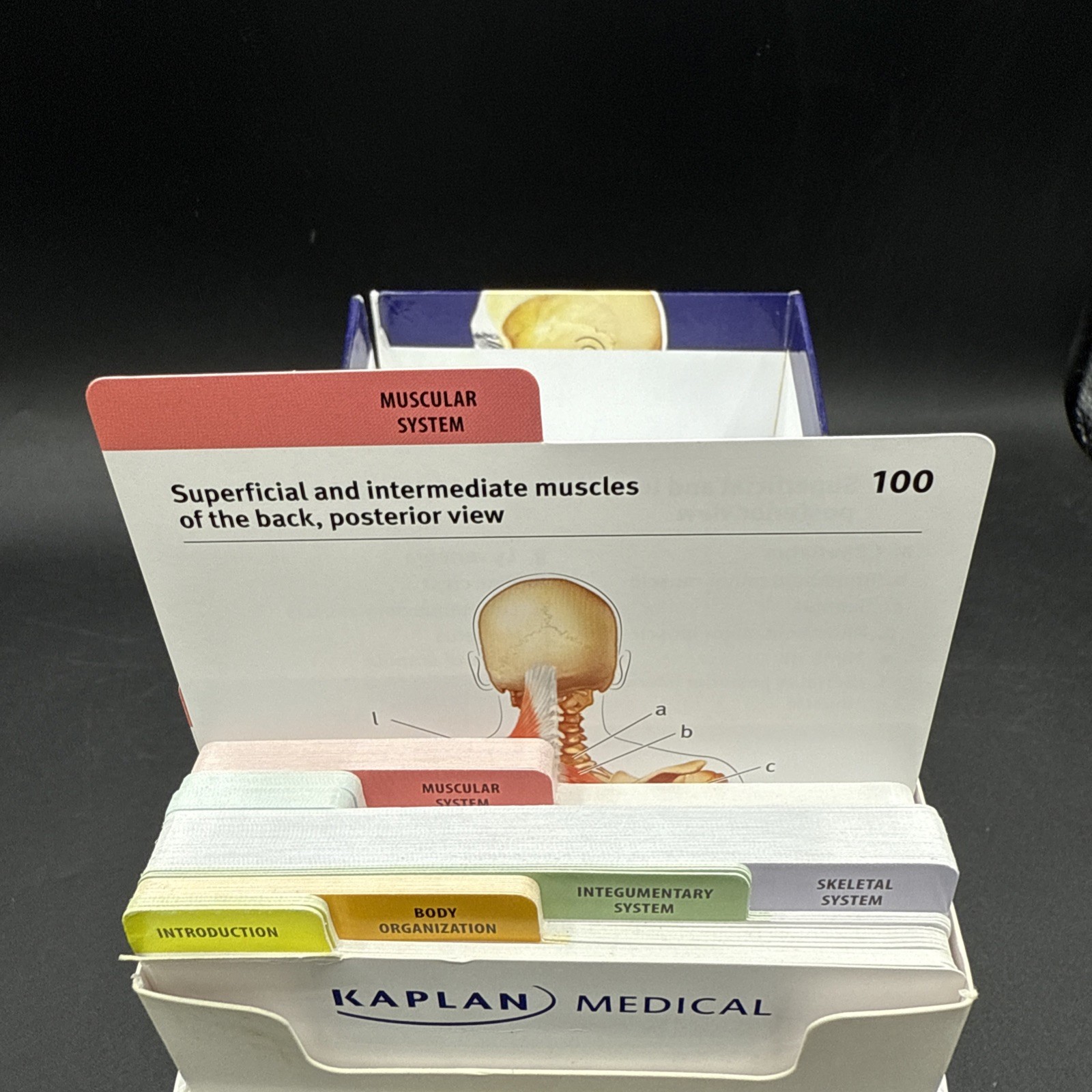 Anatomy Flashcards by Joanne Tillotson 2017 Cards Flash Cards Kaplan Medical