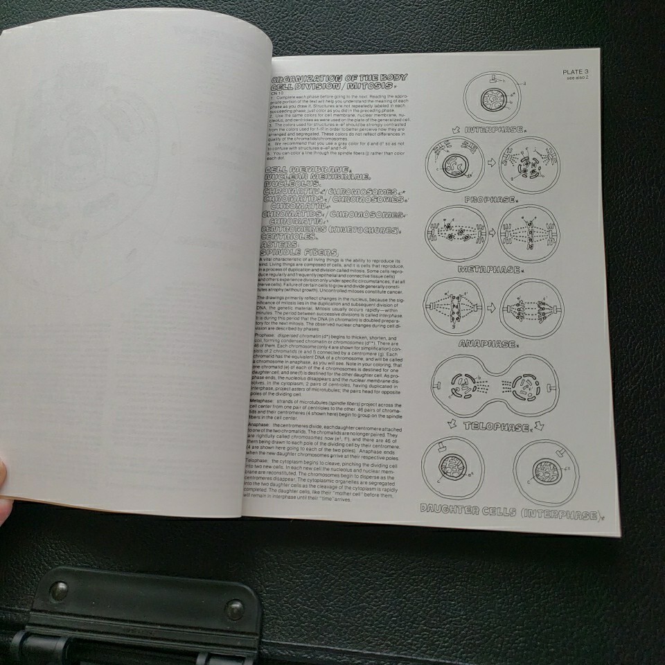 Anatomy Coloring Book by Wynn Kapit and Lawrence M. Elson, Some writing no color