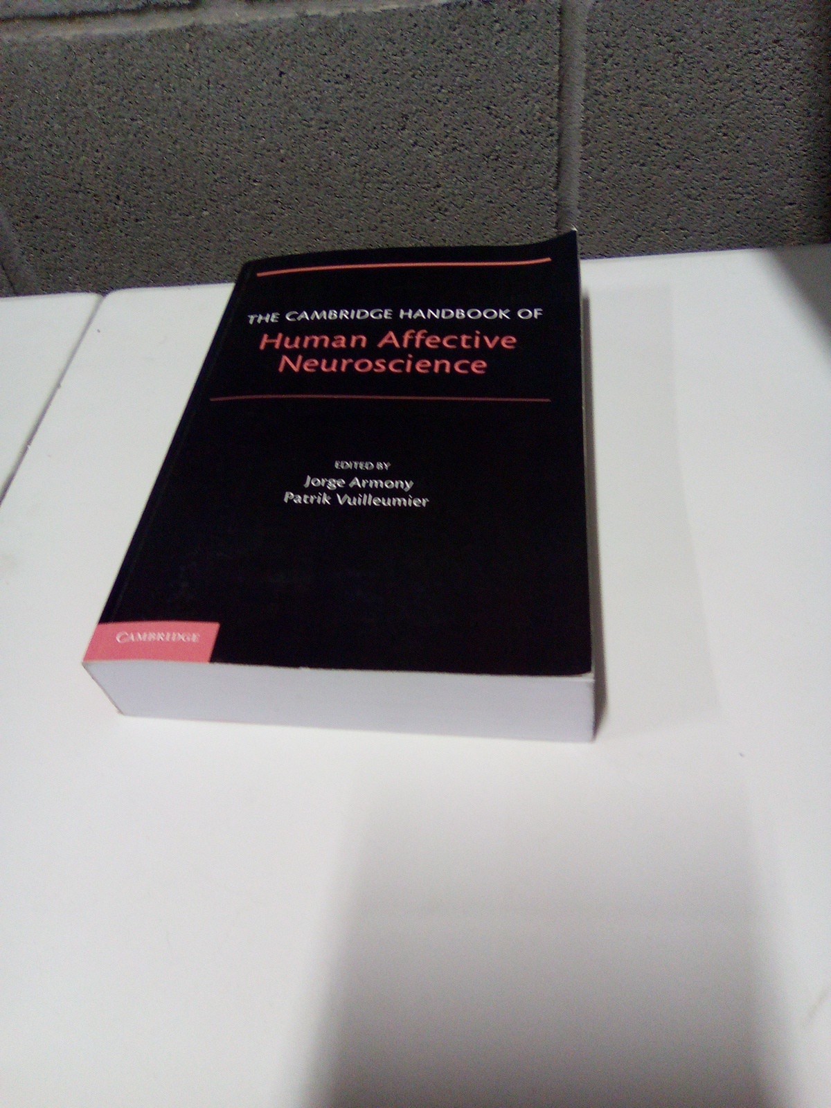 The Cambridge Handbook Of Human Affective Neuroscience By Armony & Vuilleumier