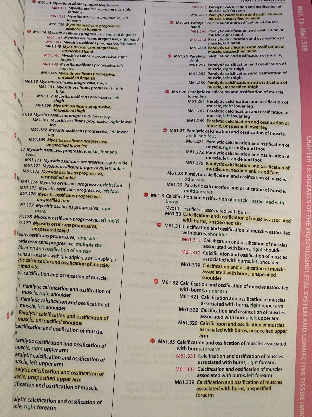 AAPC 2023 ICD-10-CM & HCPCS Level II Books Lot