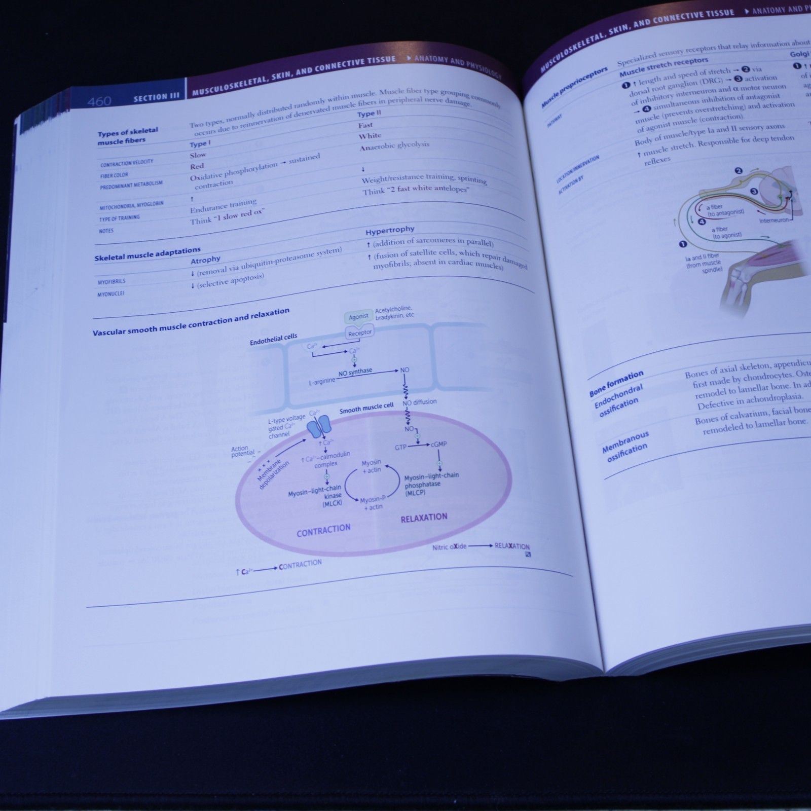 Master Your Medical Future with the Ultimate 2023 First Aid Paperback for USMLE