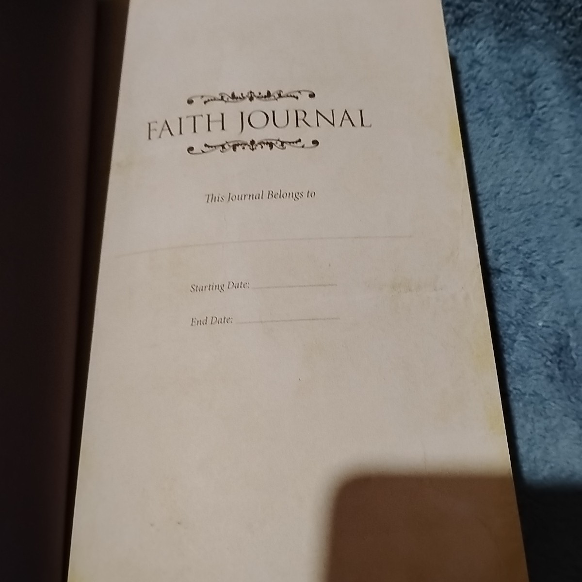 Faith Journal diary hardcover note book 176 pages Daily Bible Reading Christian
