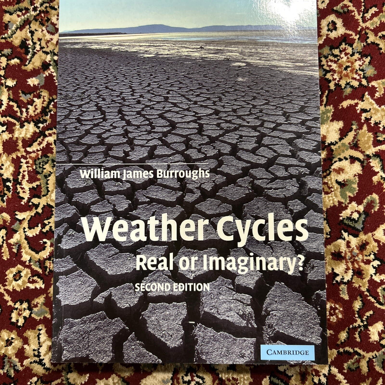 Weather Cycles : Real or Imaginary? by William James Burroughs