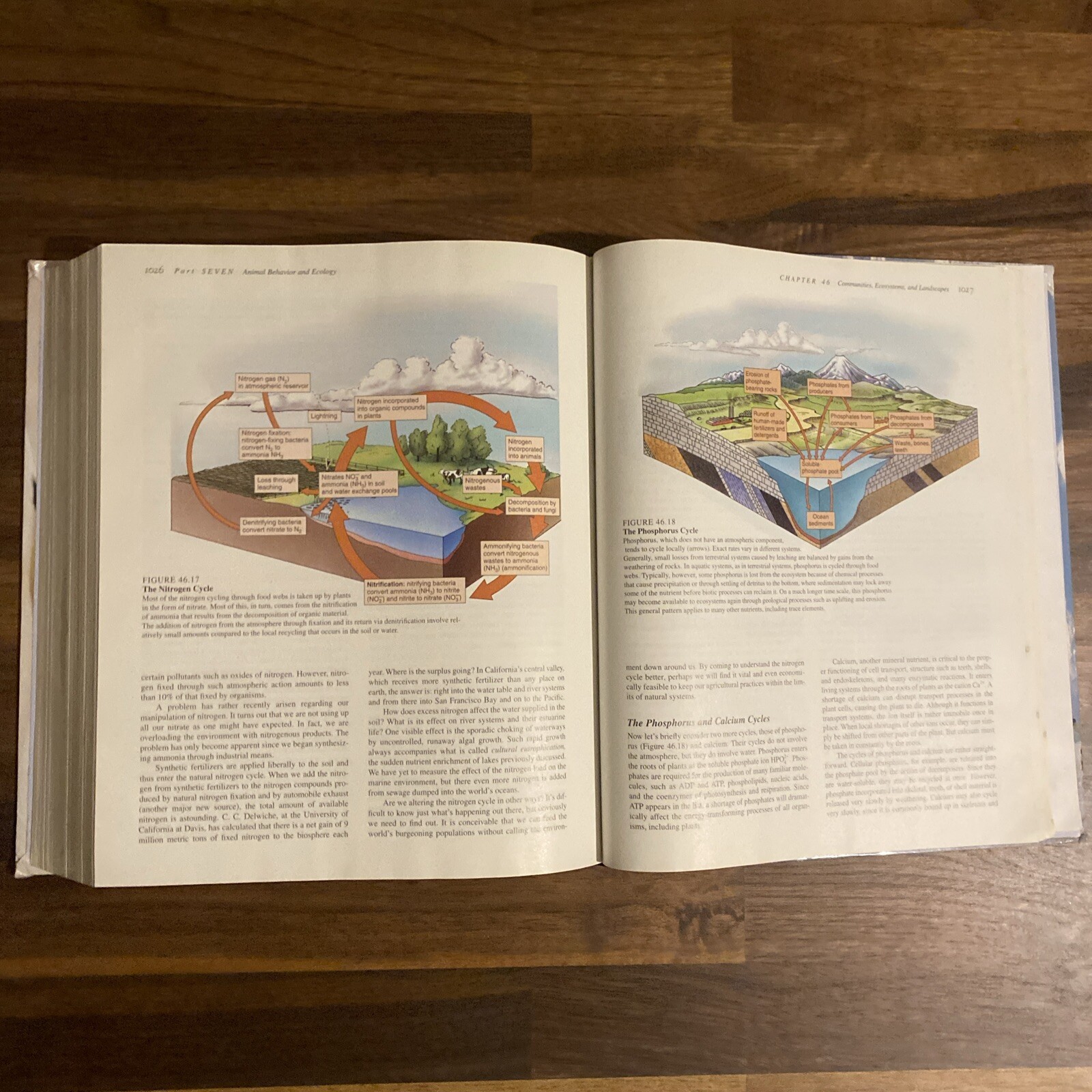 Biology The Science Of Life Fourth Edition