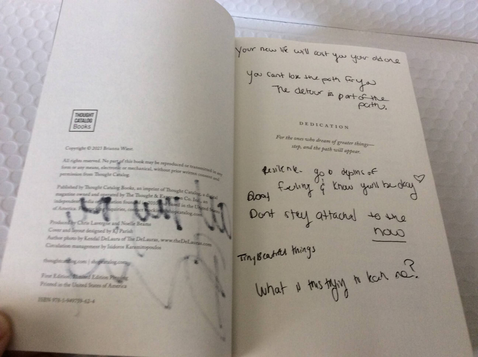 The Pivot Year: 365 Days Become the…by Brianna Wiest (2023, Paperback) SIGNED