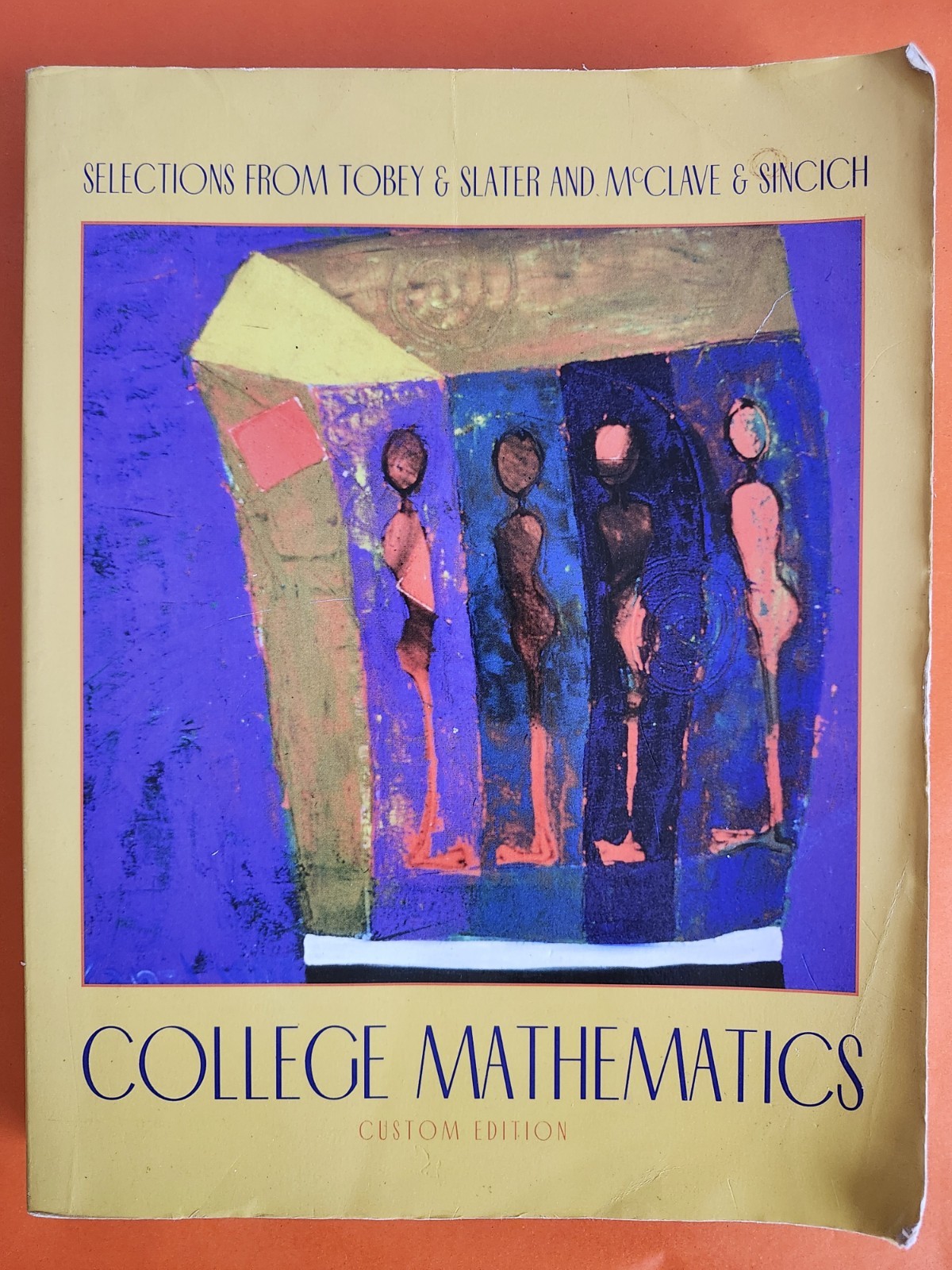 COLLEGE MATHEMATICS custom Edition. Soft Cover Book