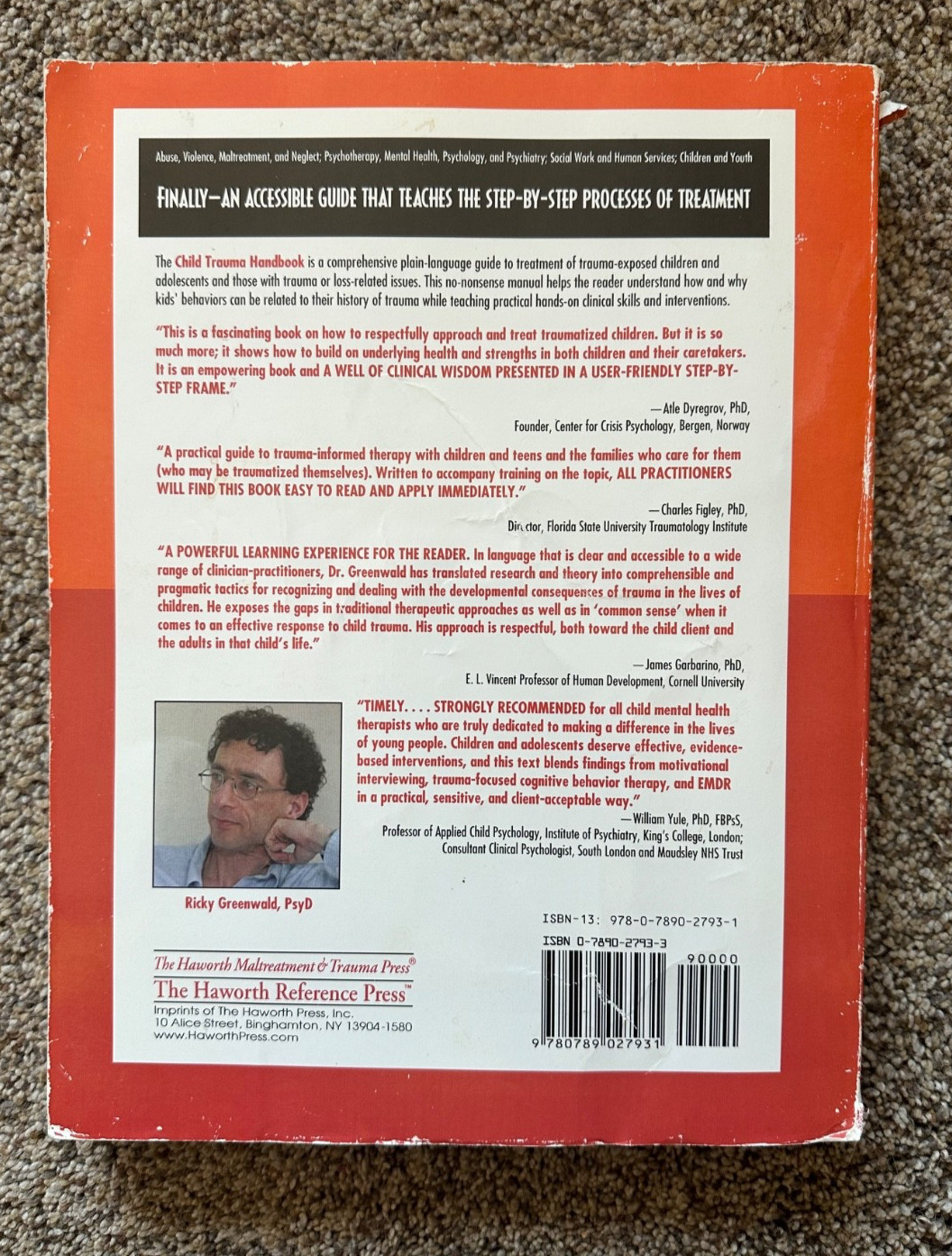 Child Trauma Handbook : A Guide for Helping Trauma-Exposed Children and…