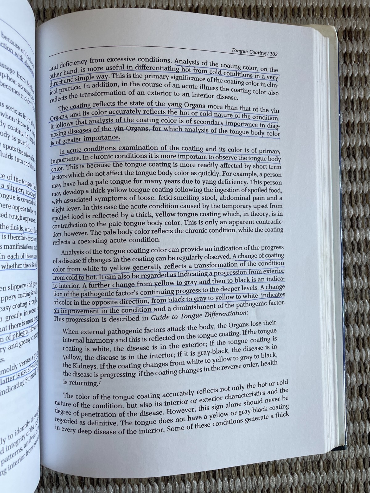 Tongue Diagnosis in Chinese Medicine by Giovanni Maciocia (1995, Hardcover)