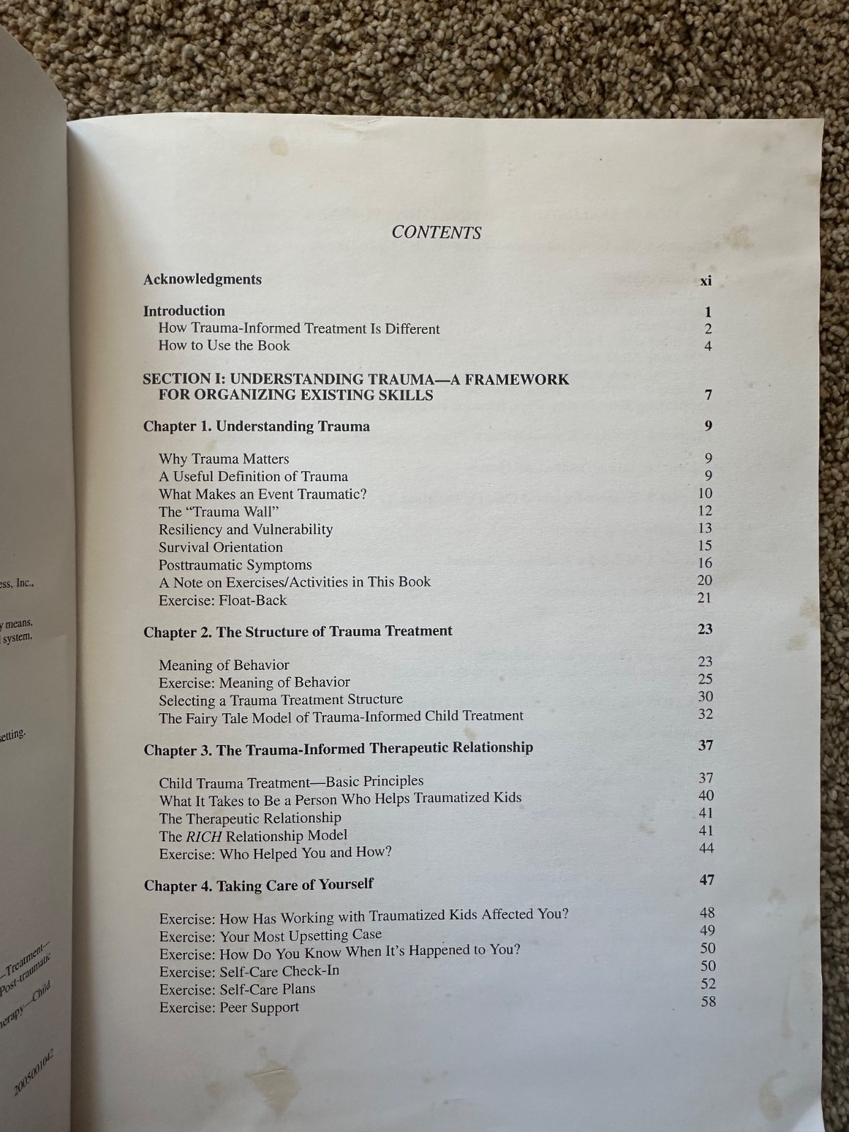 Child Trauma Handbook : A Guide for Helping Trauma-Exposed Children and…