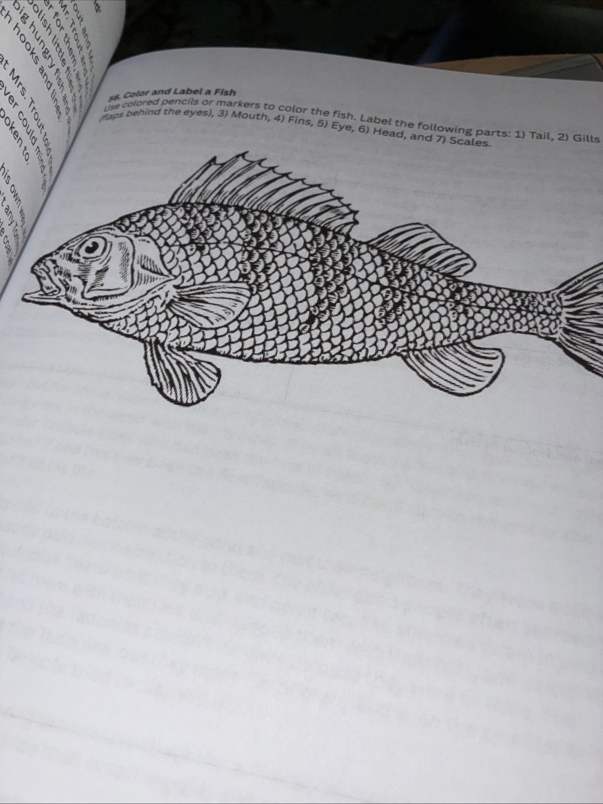 2nd Grade Science Full year Lessons Workbook Second Grade Science homeschool