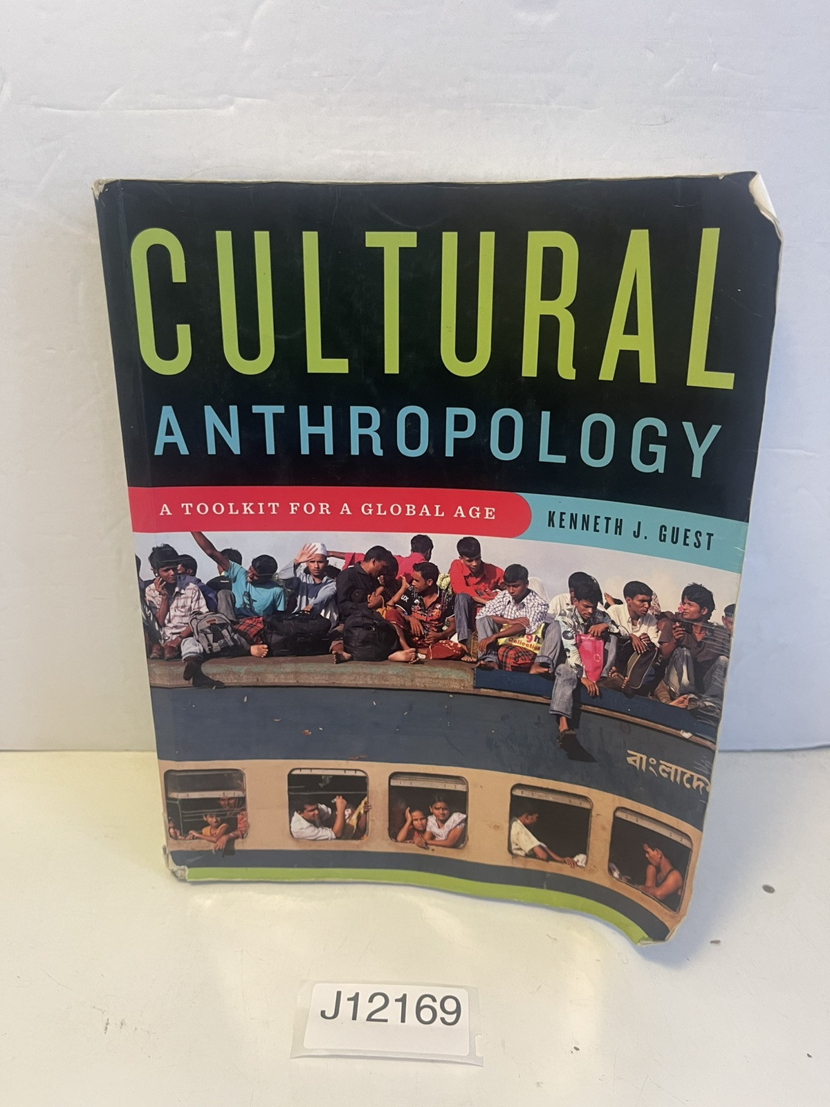 Cultural Anthropology : A Toolkit for a Global Age by Kenneth J. Guest (2013,…