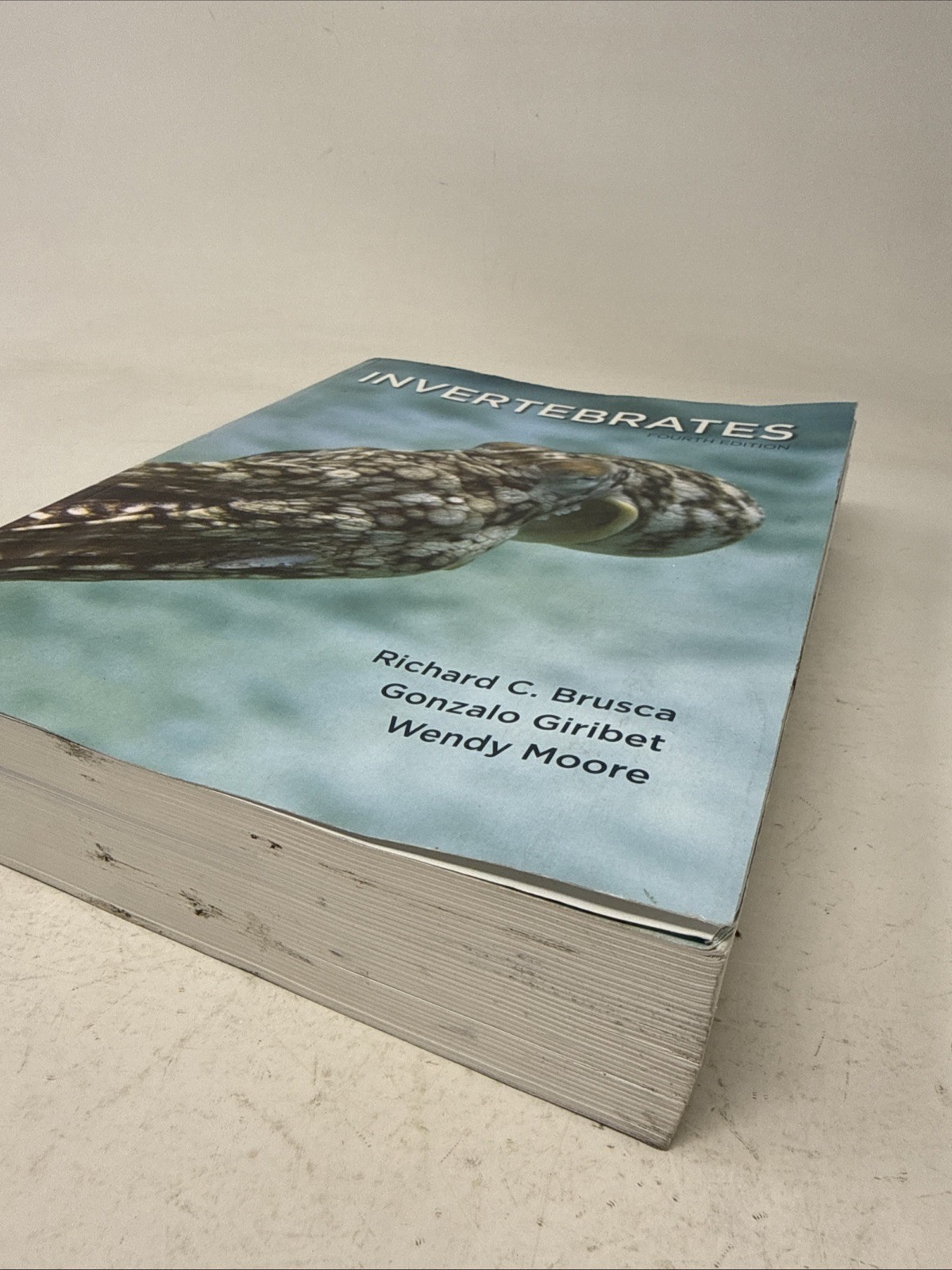 Invertebrates 4th Edition. by Brusca, Richard C.