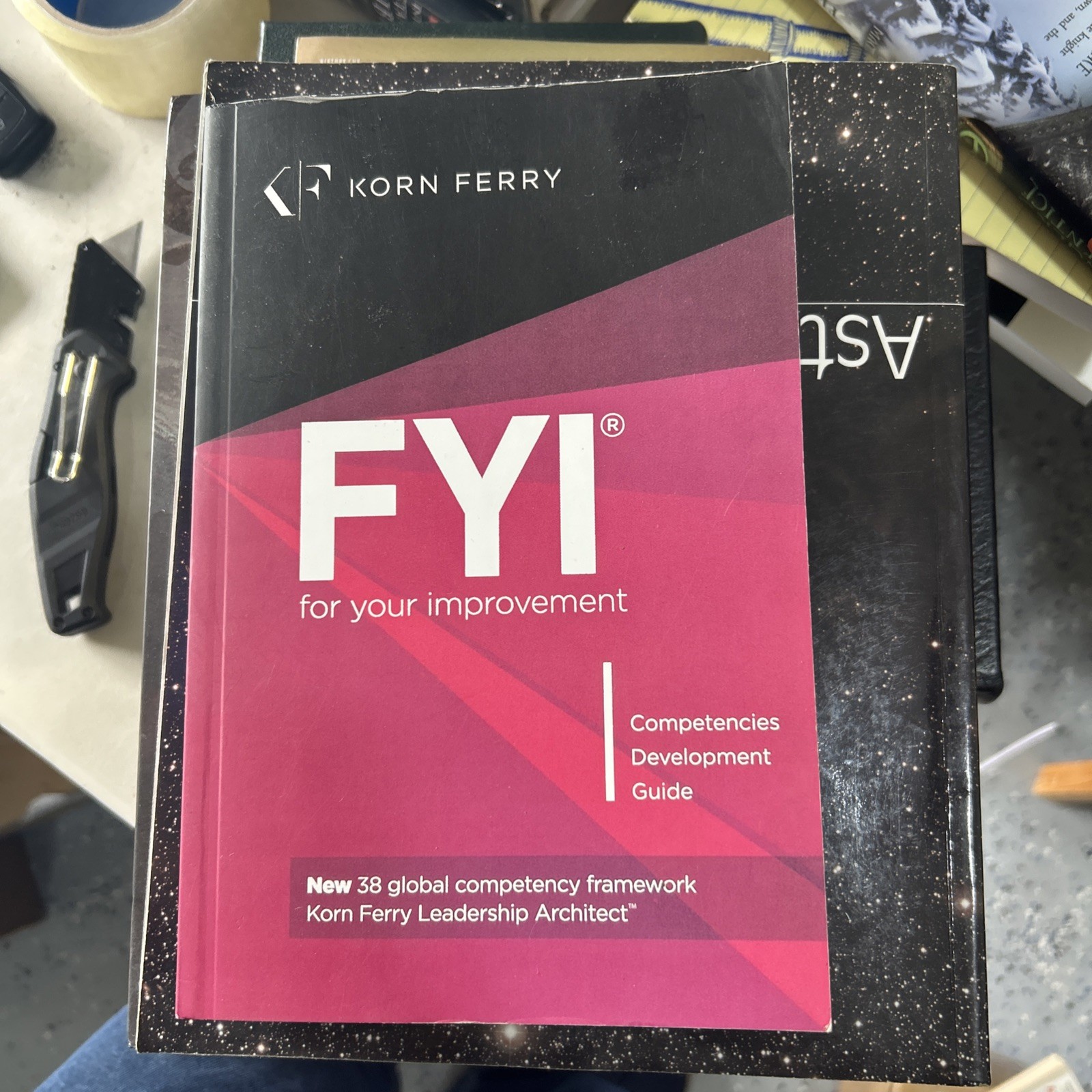 FYI For Your Improvement Competencies Development Guide Korn Ferry Leadership PB