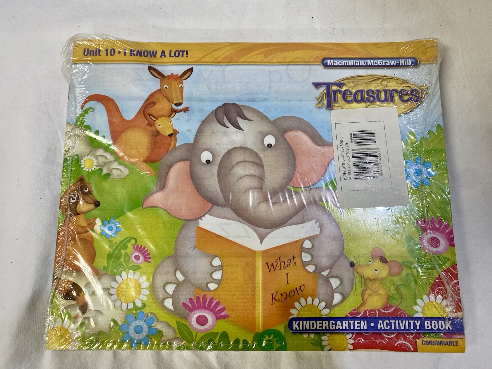 Treasures: Kindergarten Activity Books Units 1-10 + Start Smart ‘WE ARE SPECIAL’