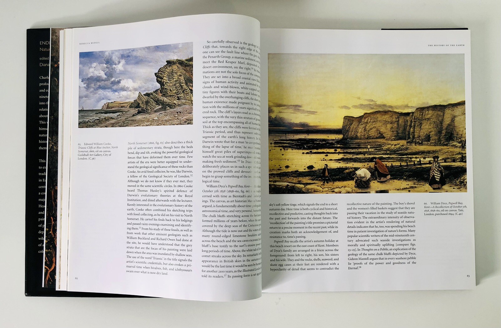 Endless Forms by Charles Darwin, Natural Science & the Visual Arts Hardback Book