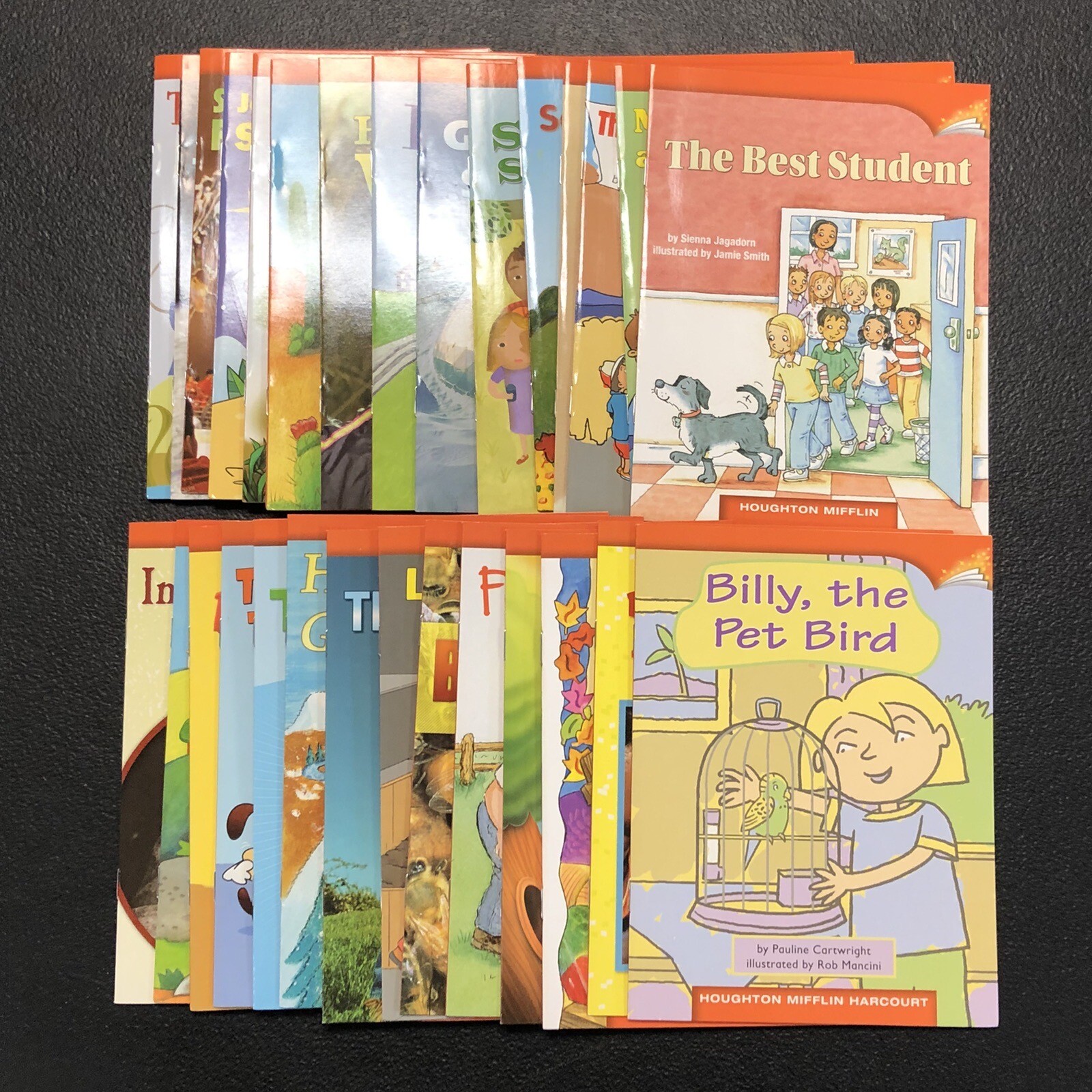 HMH JOURNEYS Leveled Readers Grade 2 ~ Complete Set of 30 Books ~ w/ Worksheets