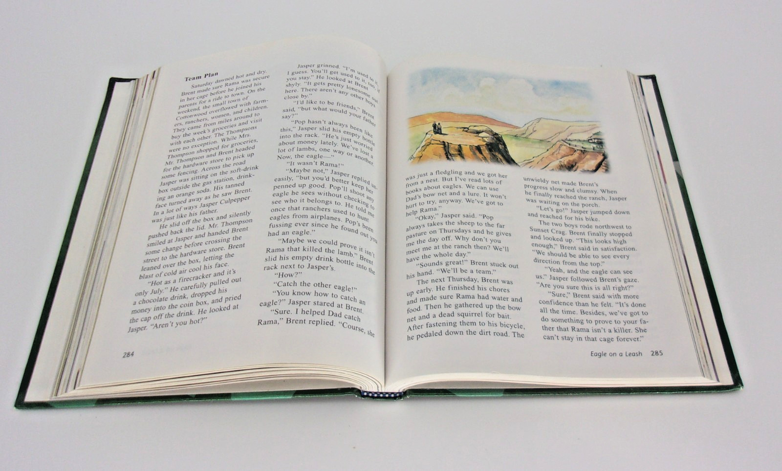 BJU Press- Reading 5 for Christian Pages in My Head Second Edition-Hardcover