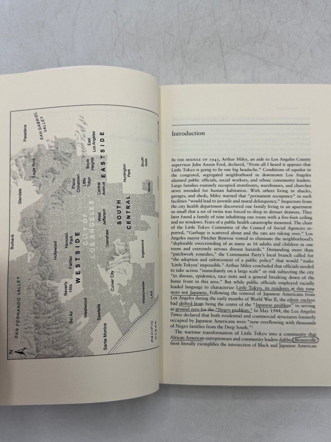 Shifting Grounds of Race Kurashige 2010 1st Paperback Multiethnic LA History